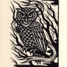Wyrd Owl